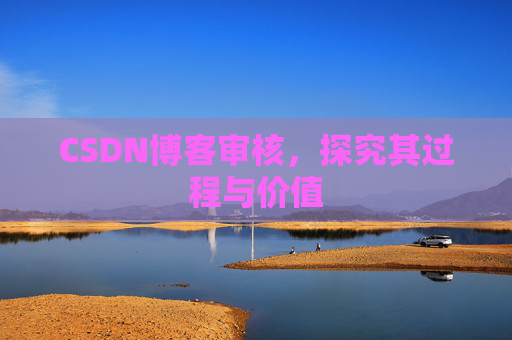 CSDN博客审核，探究其过程与价值